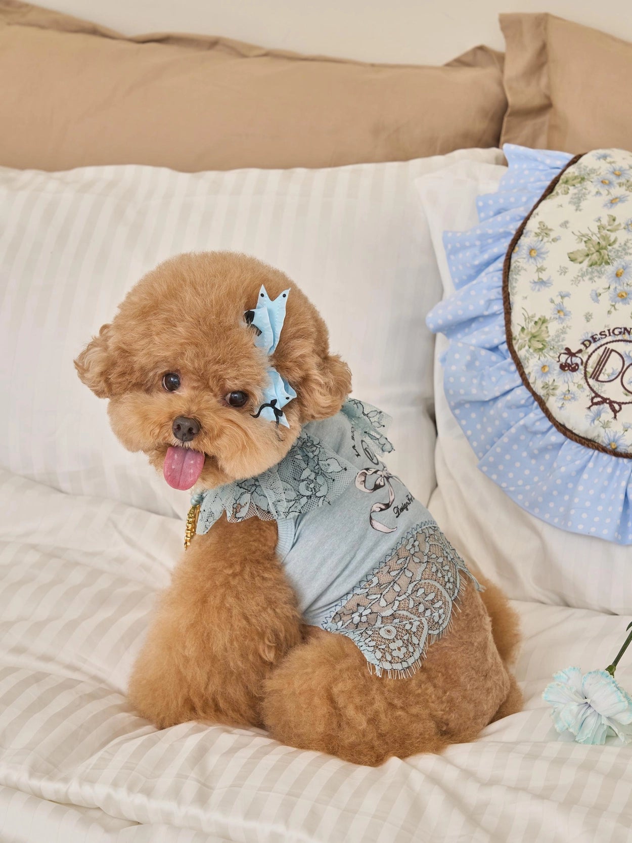 Jardin Blanket 全3色