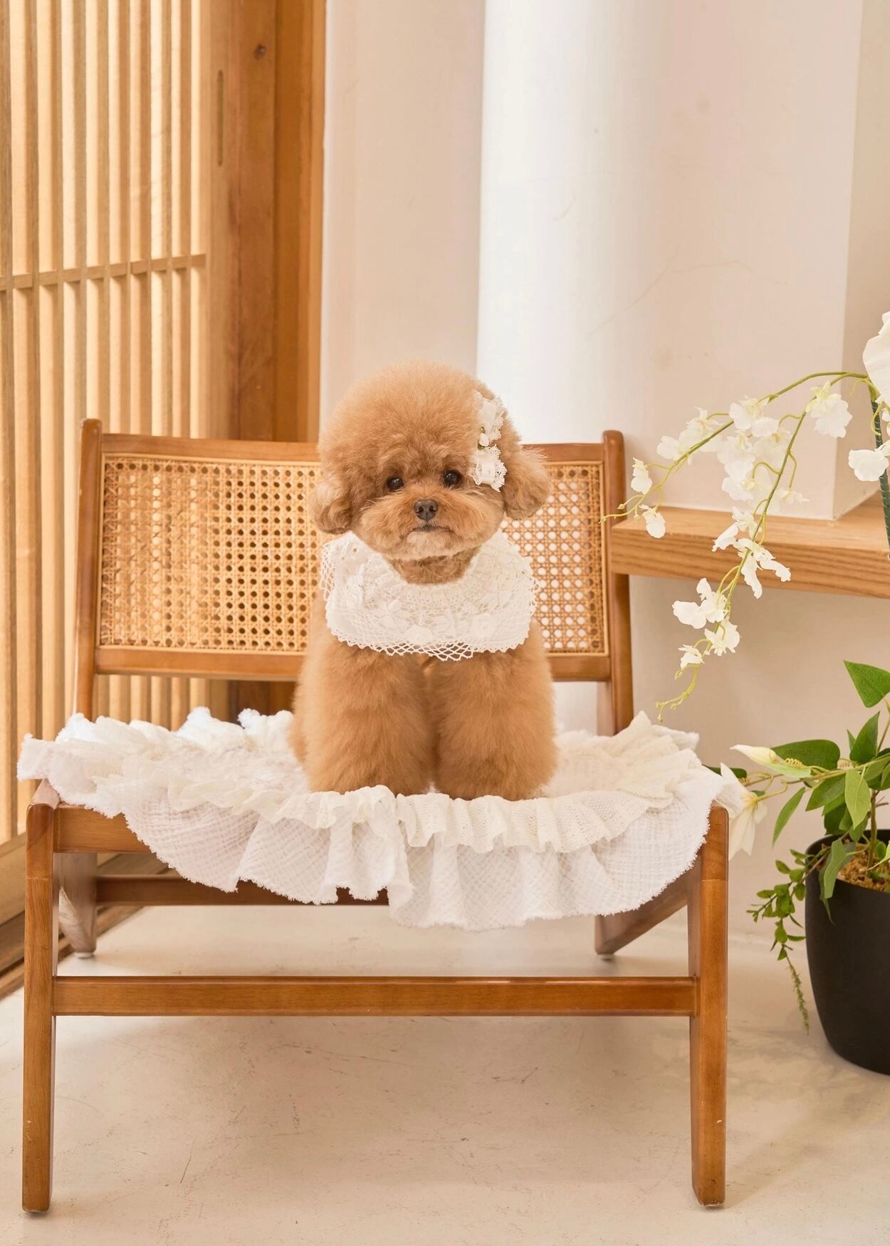 即納 Blanc Rose T ホワイト