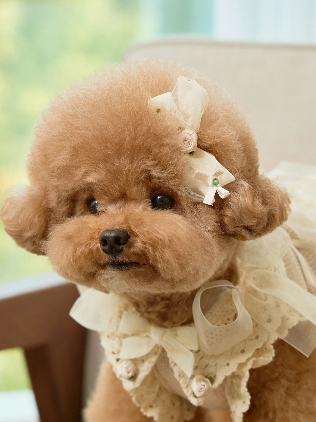 Giselle Rose Pin 全3色
