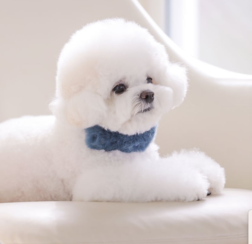 即納 Eco Fur Pompom x Swarovski 全2色