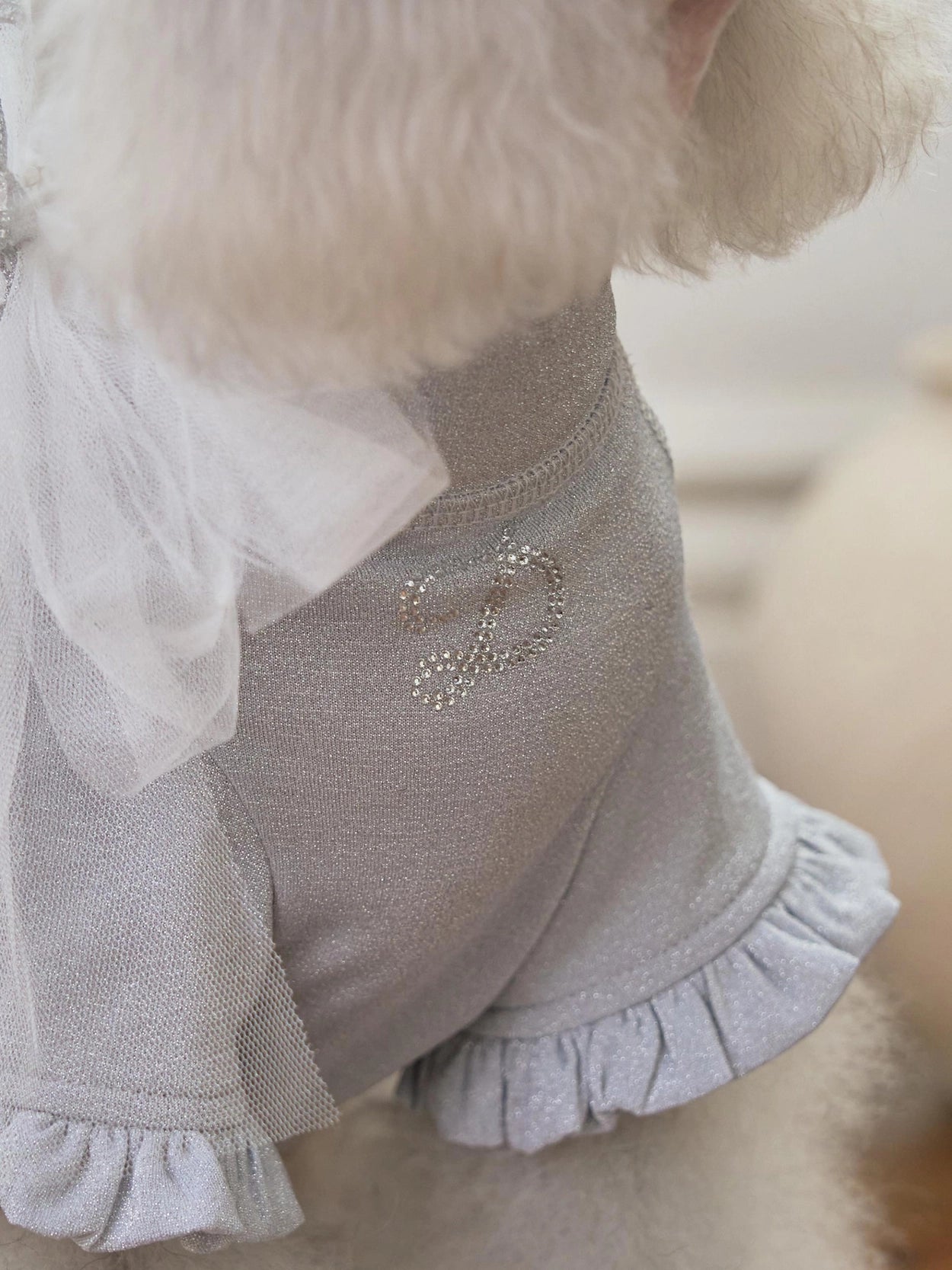 Crystal T-Shirt & Brooch シルバー