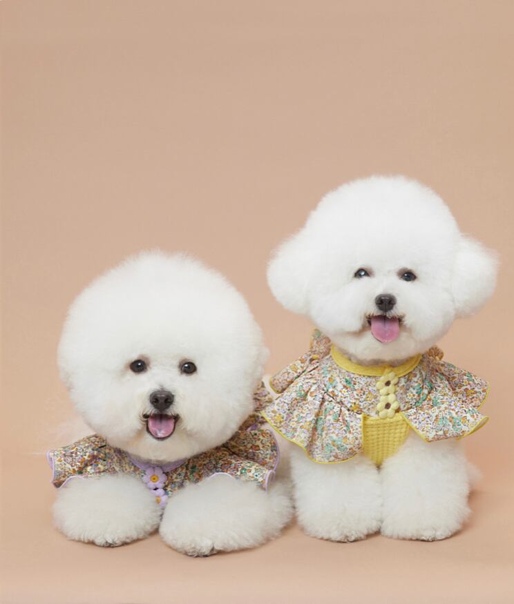 即納 Waffle Daisy Top ベージュ