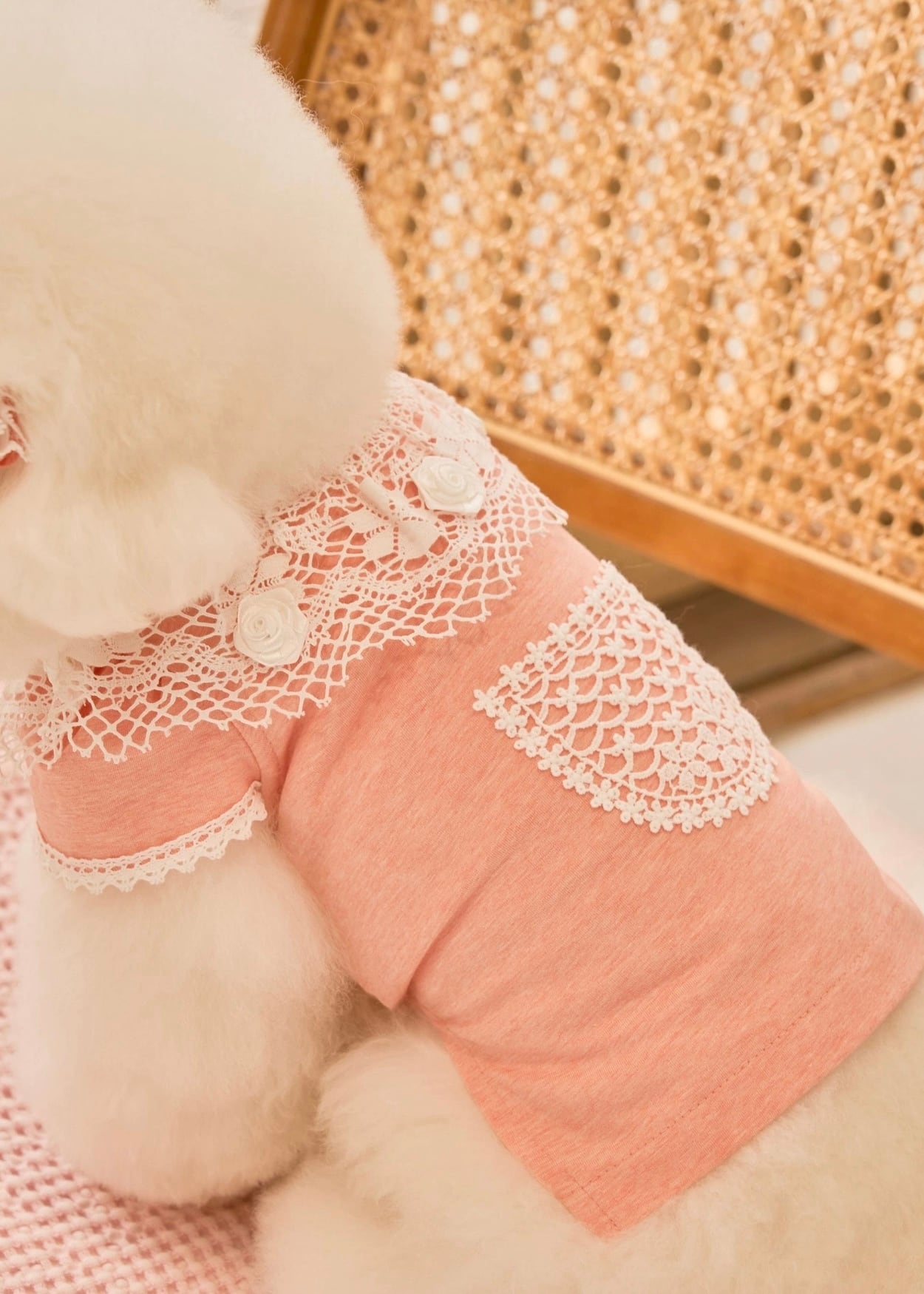 即納 Blanc Rose T ピーチ