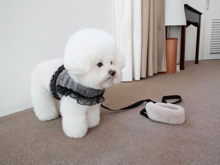 即納 Mink Fur Harness グレー
