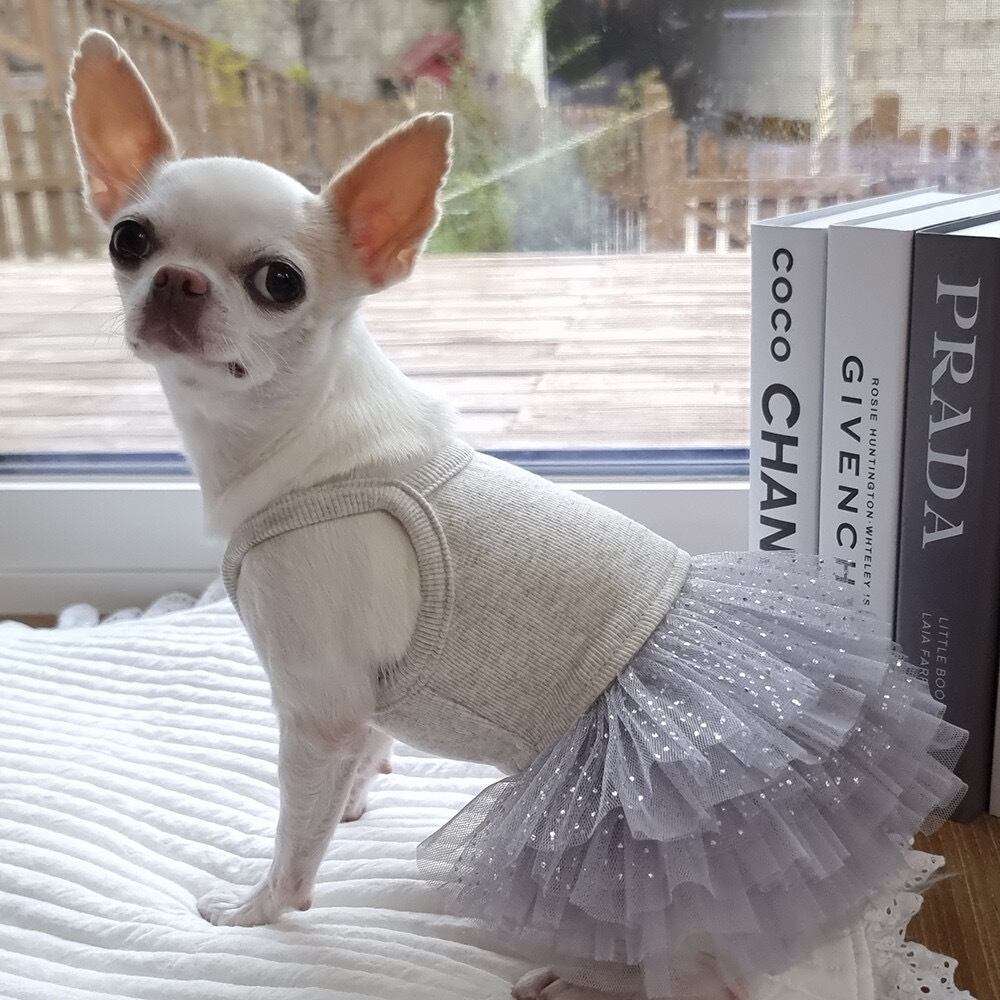 即納 Pure Color Tutu グレーパール