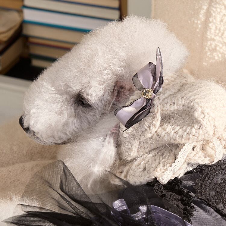 即納 Giselle Hairpin 全3色