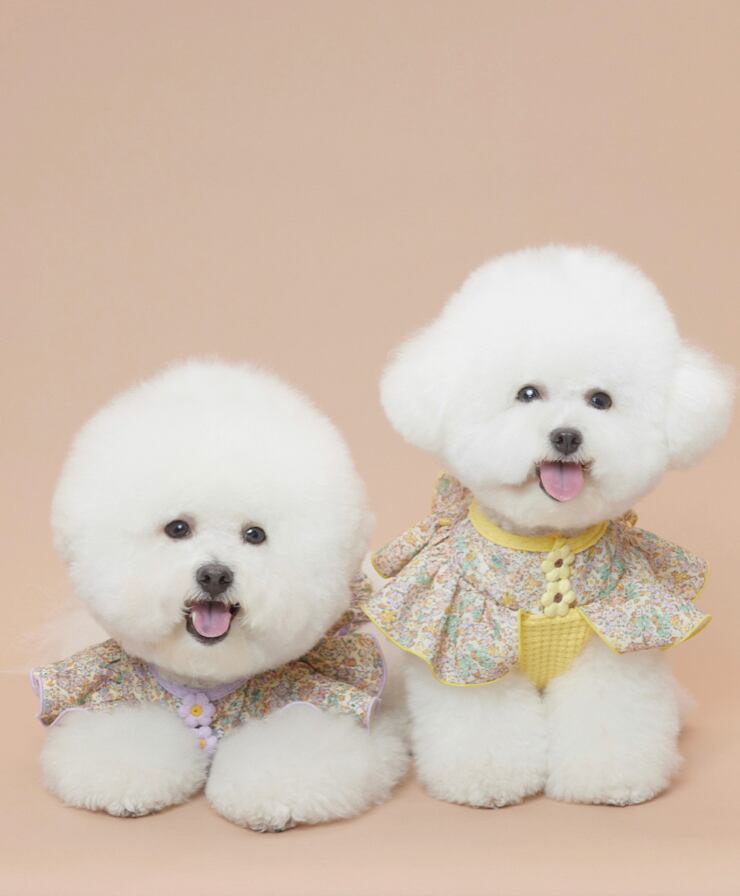 即納 Waffle Daisy Top ベージュ