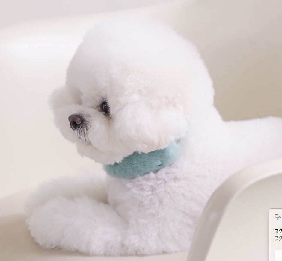 即納 Eco Fur Pompom x Swarovski 全2色