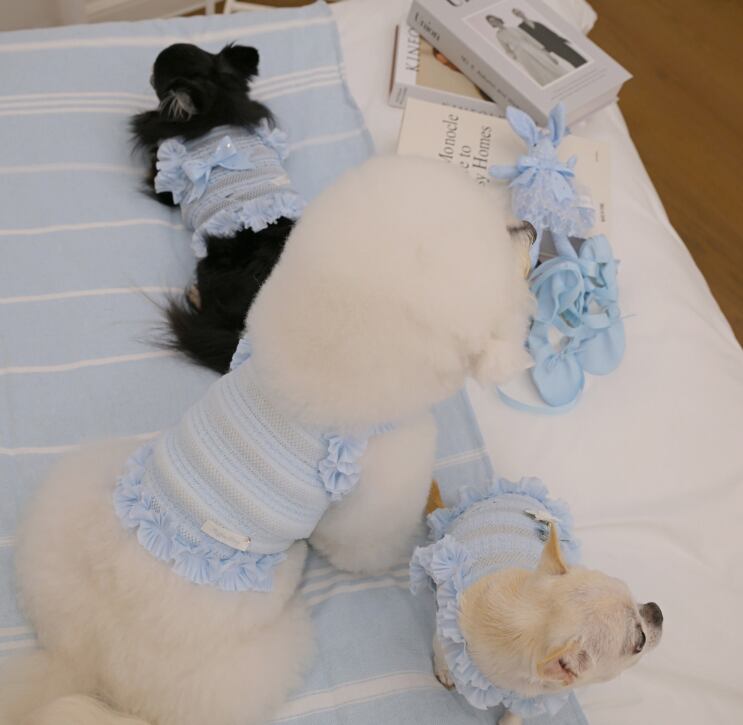 即納 Airish Frill Top ブルー