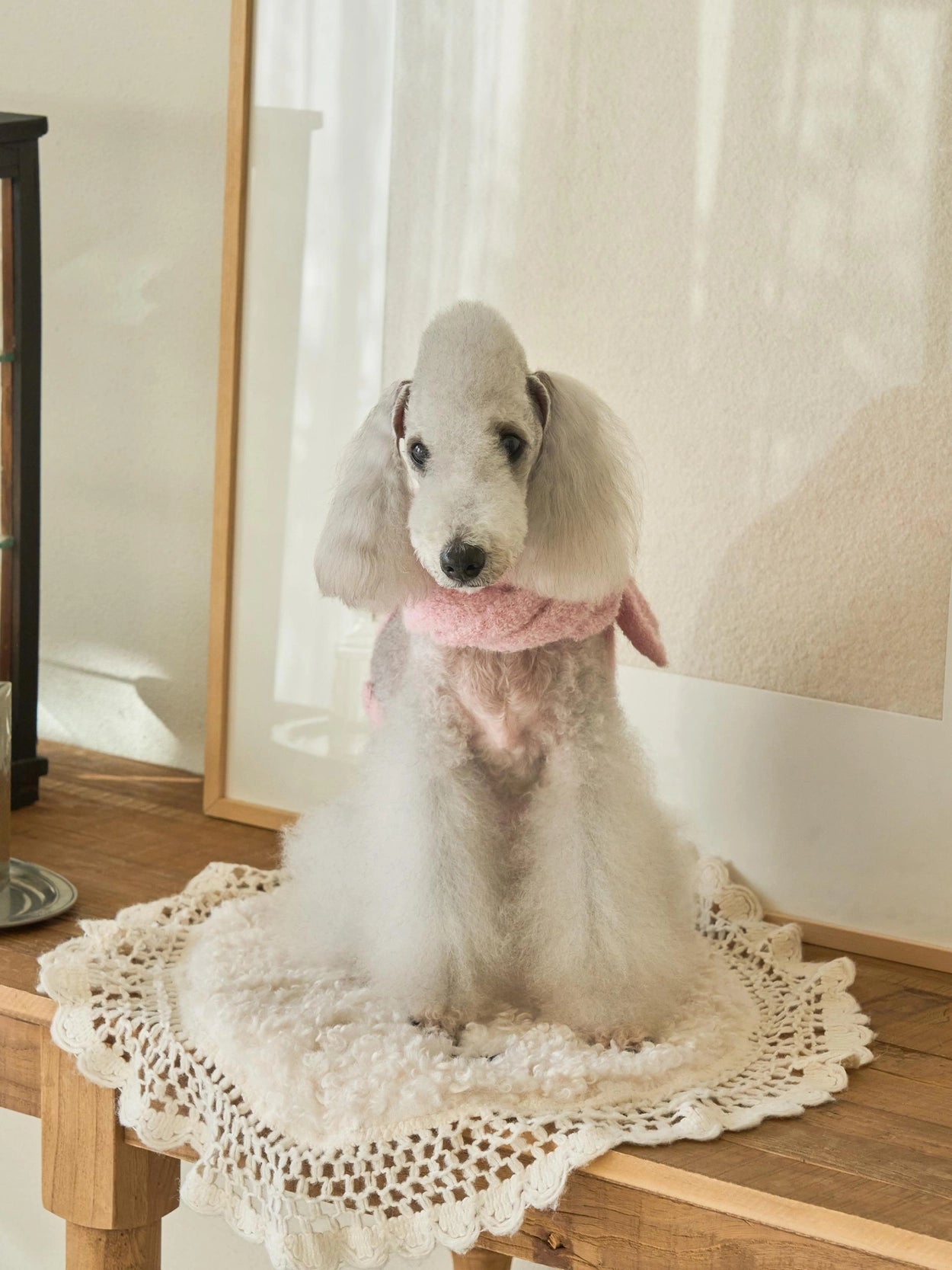 即納 Butterfly Knit Cape ベビーピンク