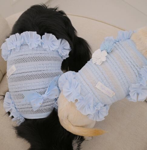 即納 Airish Frill Top ブルー