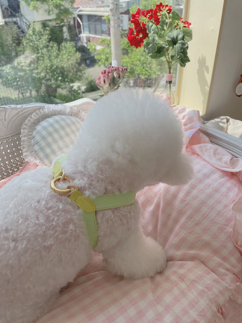 即納 VV Harness 2tone レモン×メロン