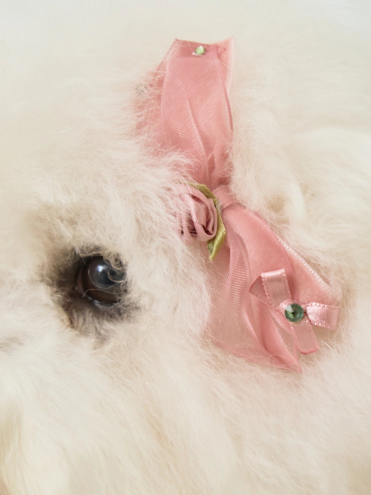Giselle Rose Pin 全3色