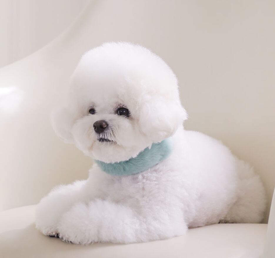 即納 Eco Fur Pompom x Swarovski 全2色