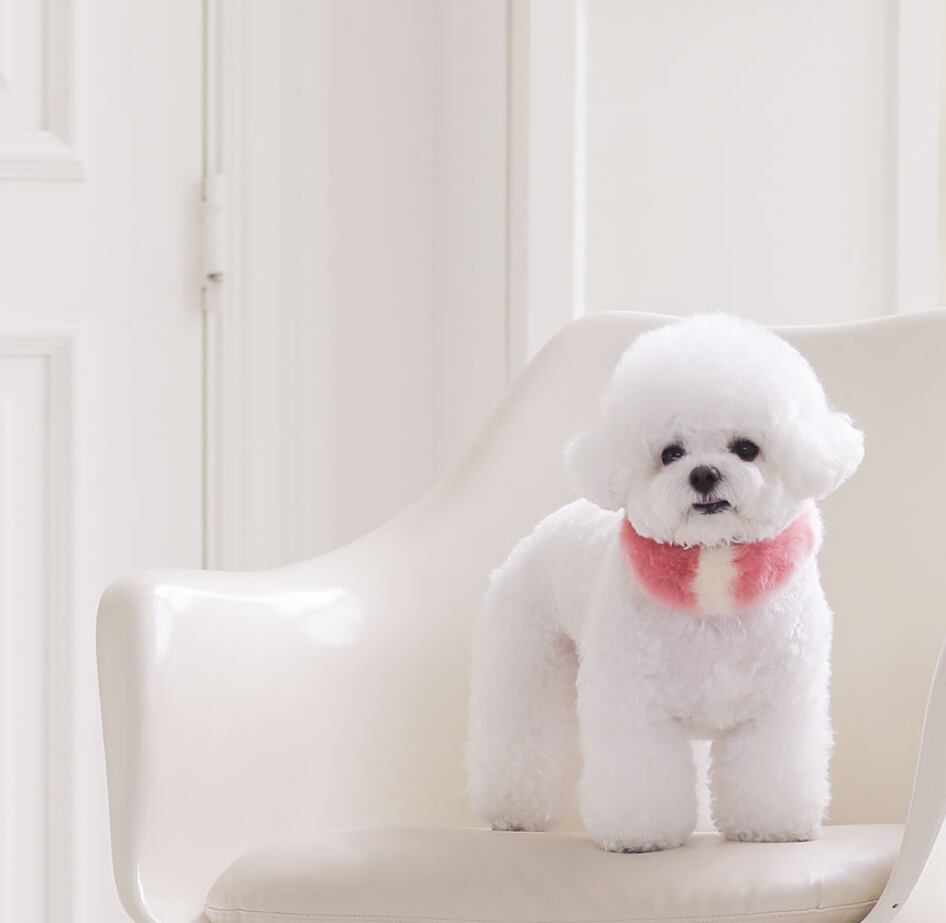 即納 Eco Fur Pompom 全2色