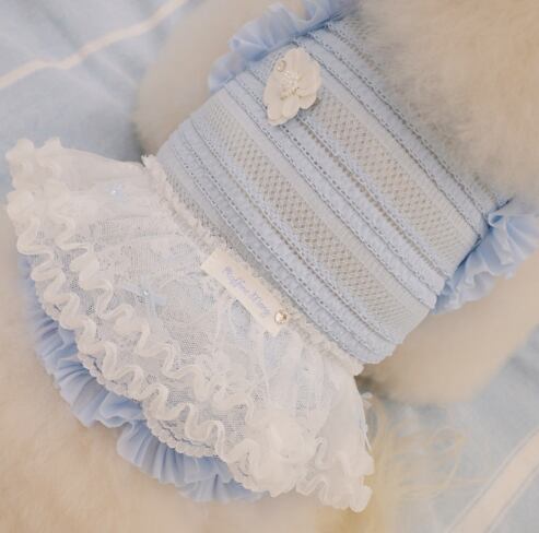 即納 Airish Frill Top ブルー