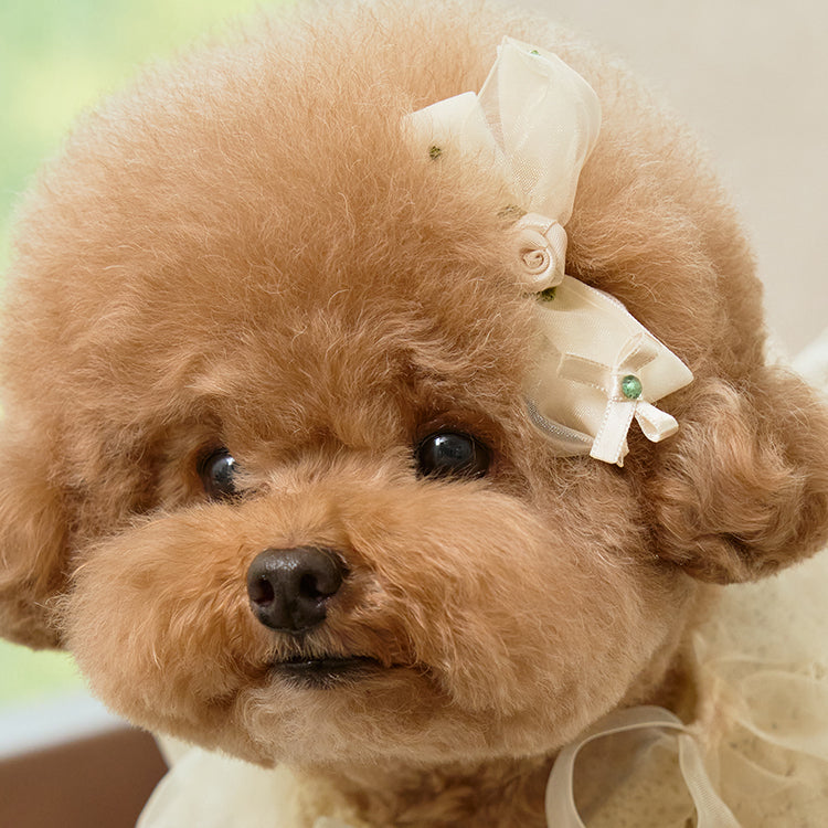Giselle Rose Pin 全3色