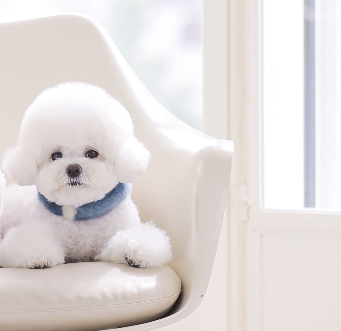 即納 Eco Fur Pompom 全2色