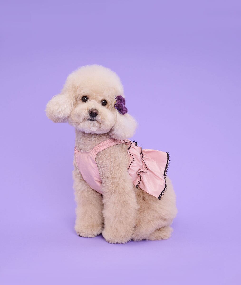 即納 Coco Ruru