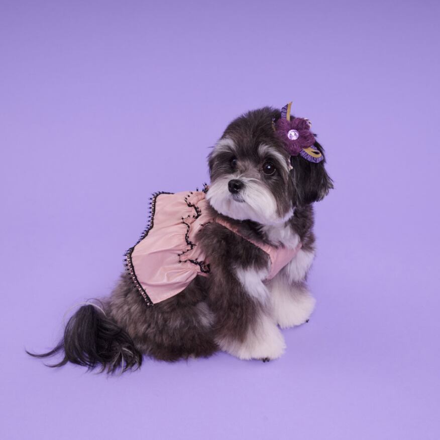 即納 Coco Ruru