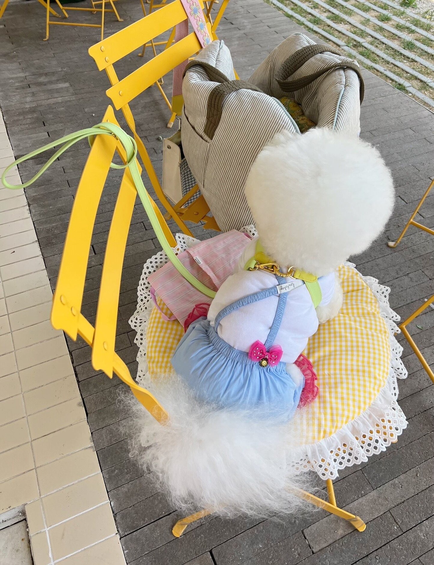 即納 VV Harness 2tone レモン×メロン