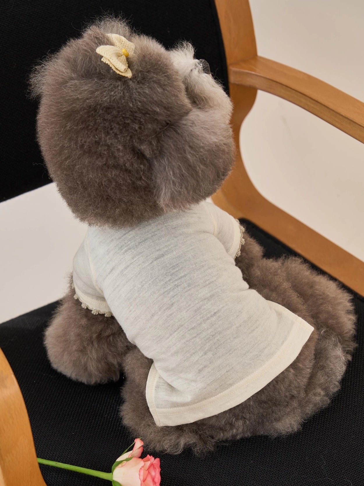 Losange T-Shirt サンドベージュ
