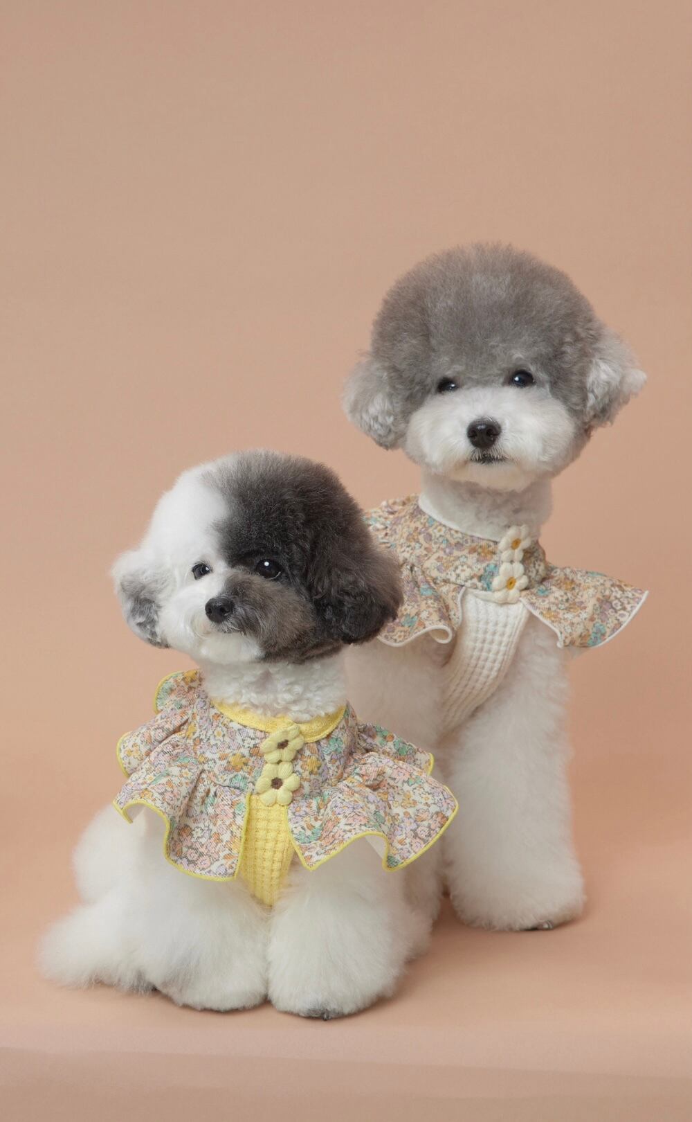 即納 Waffle Daisy Top ベージュ