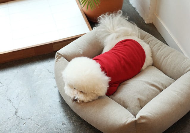 即納 Soft Long Turtleneck レッド