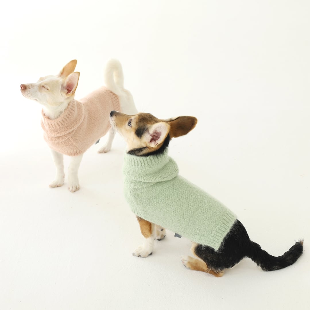 即納 Meoru Hoodie Cape