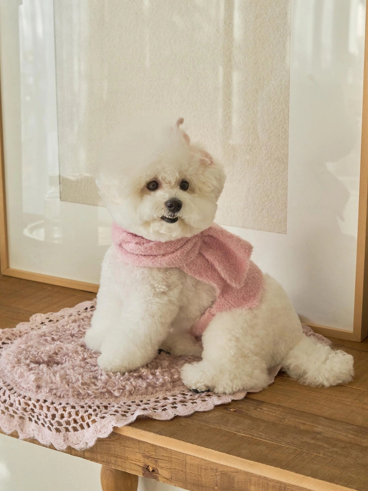 即納 Butterfly Knit Cape ベビーピンク