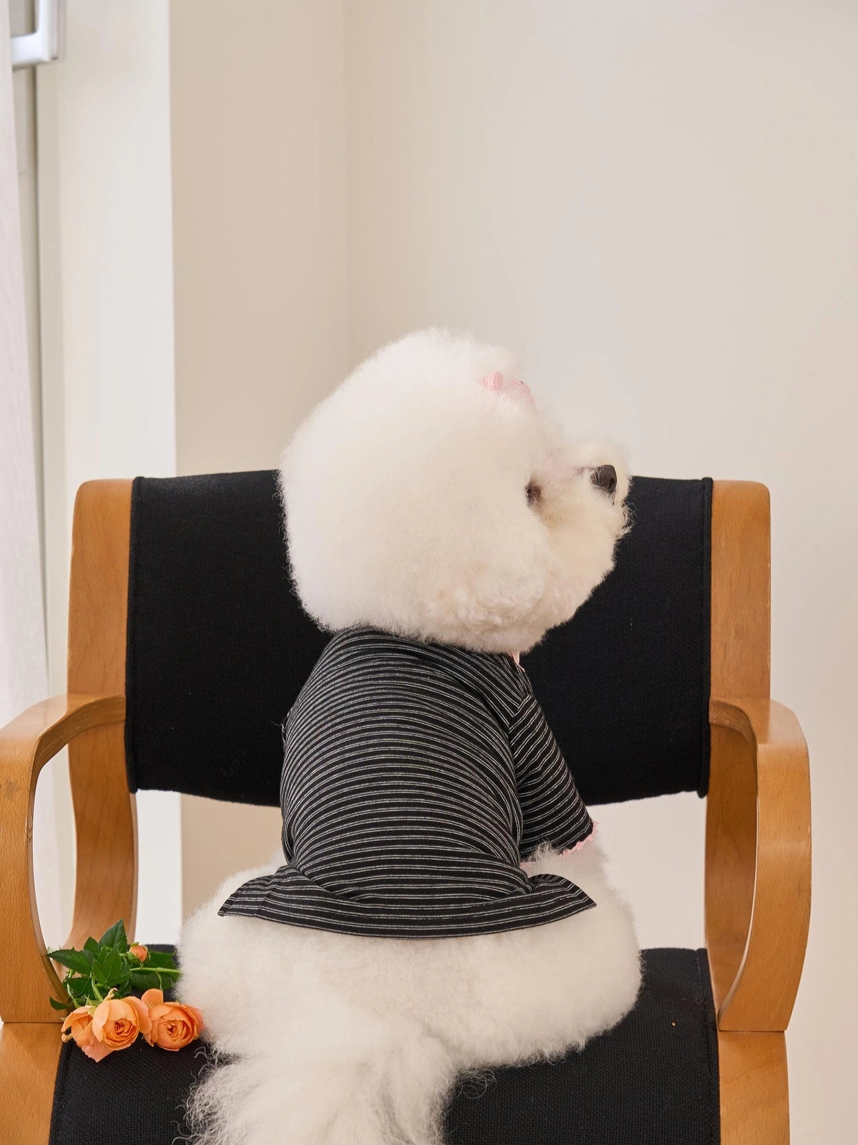 Losange T-Shirt ブラックピンク