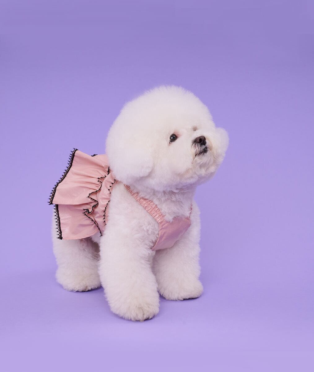 即納 Coco Ruru