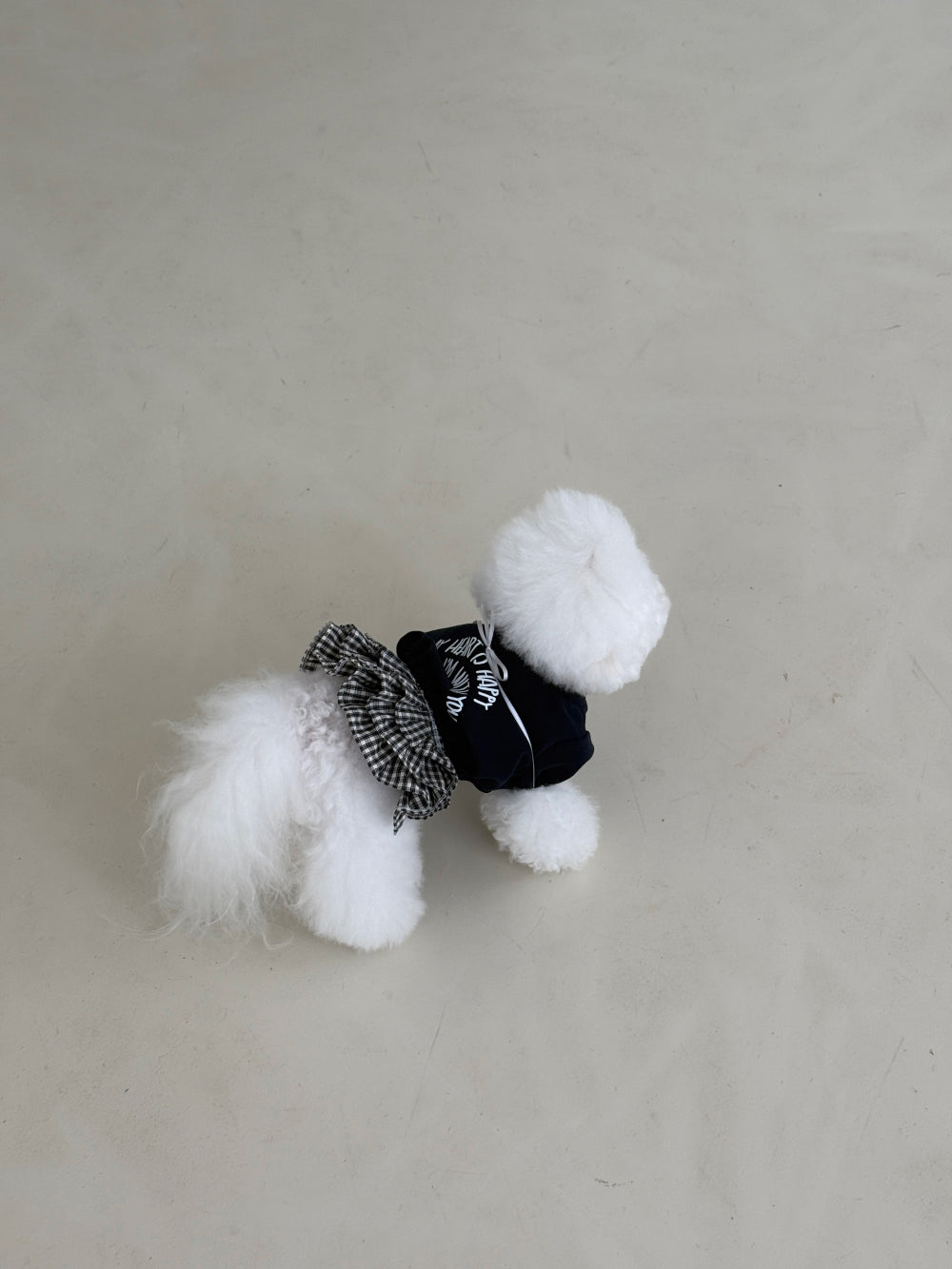 【PRE-ORDER】Check Skirt 全2色