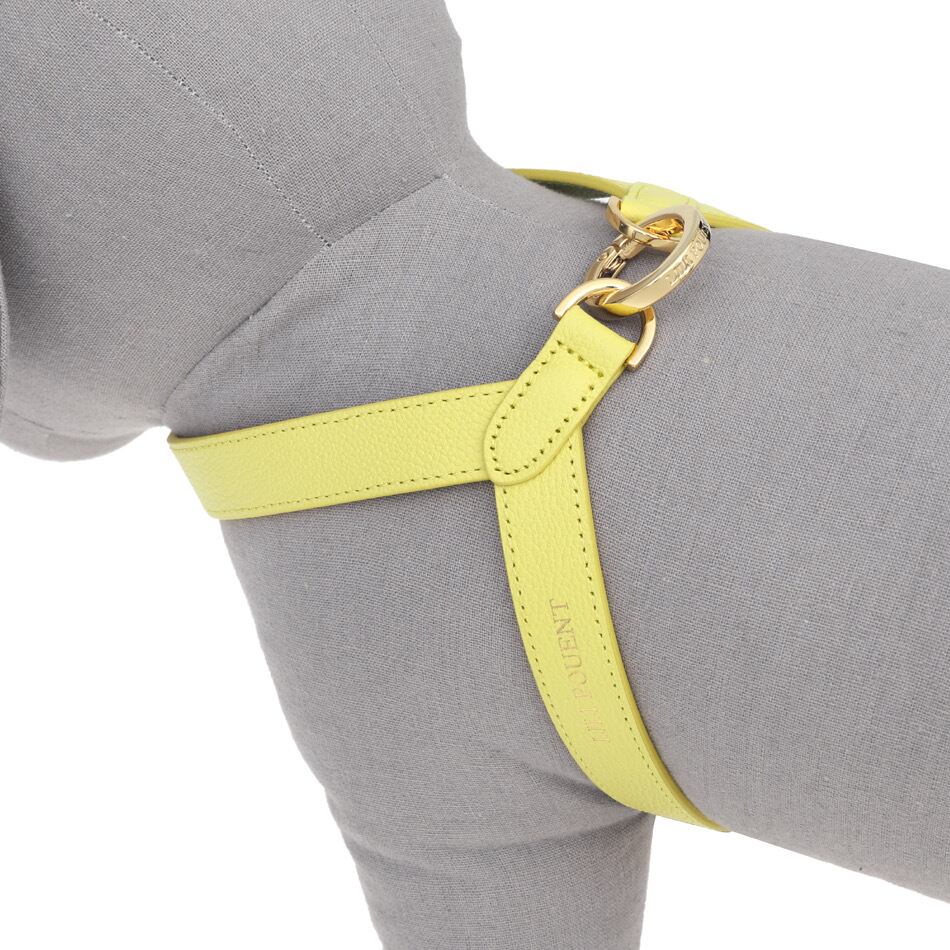 即納 VV Harness 2tone レモン×メロン