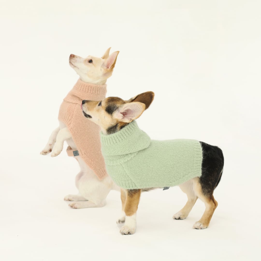 即納 Meoru Hoodie Cape