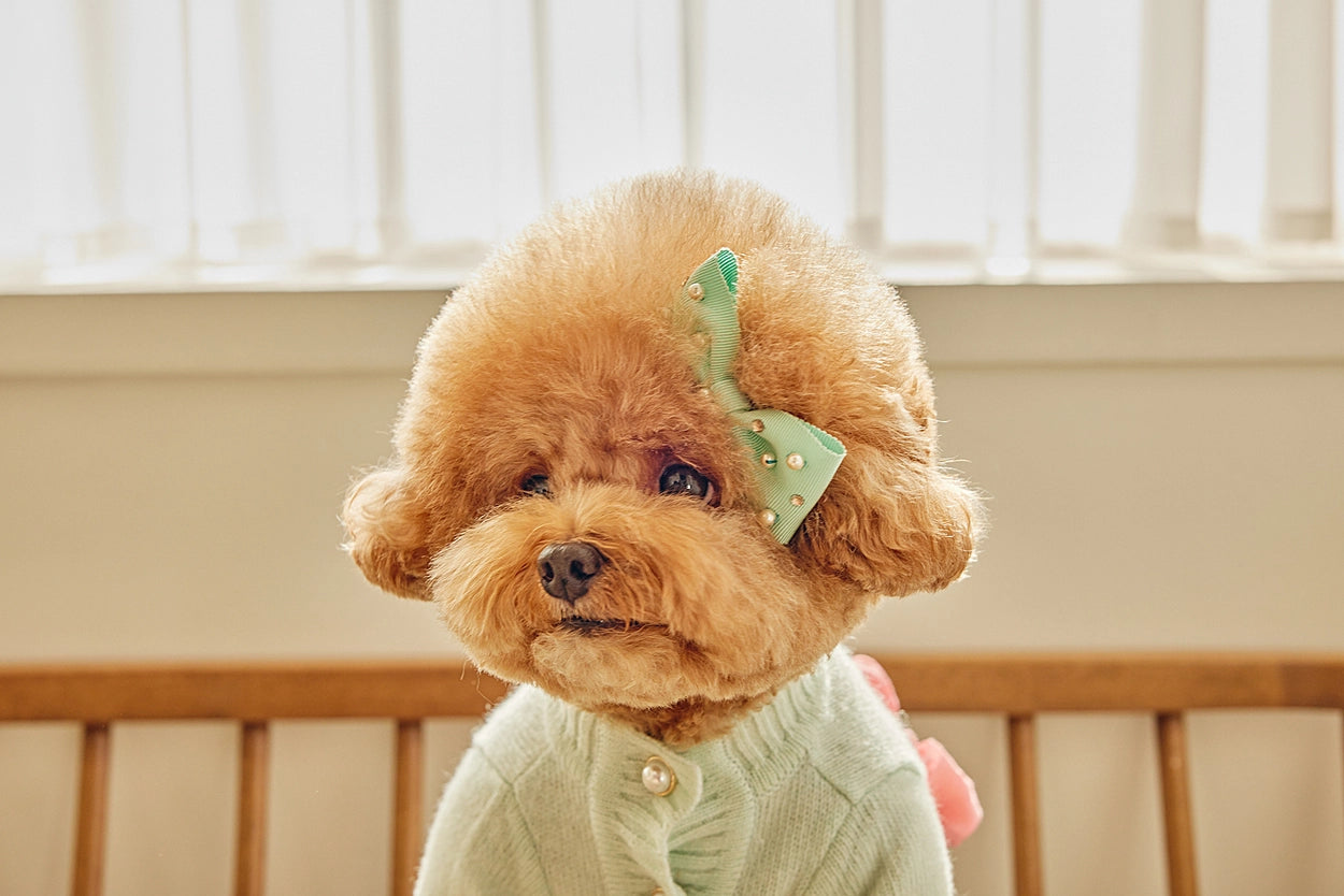 即納 Baby Ribbon Cardigan ミント