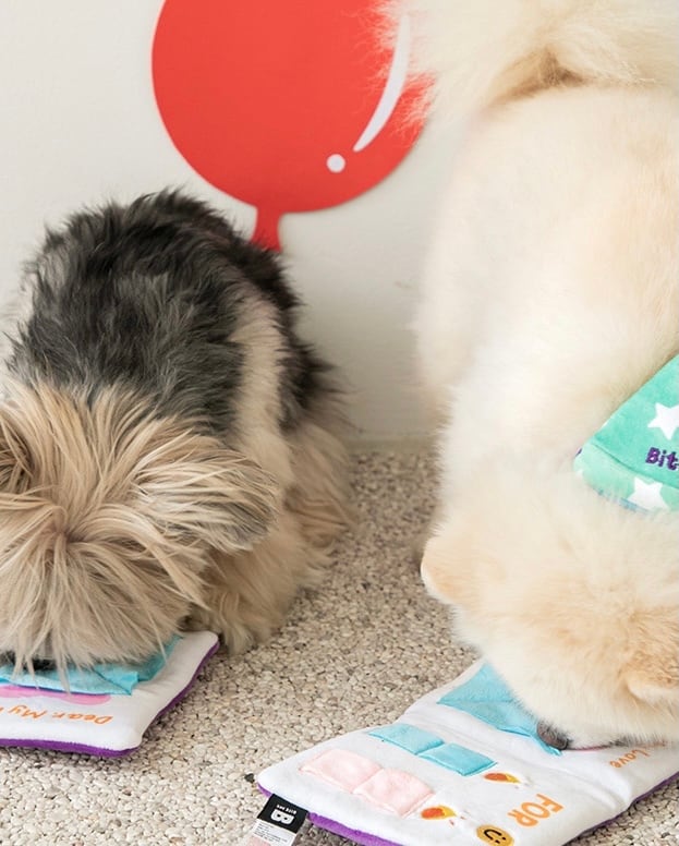 即納 Birthday party card nose work toy