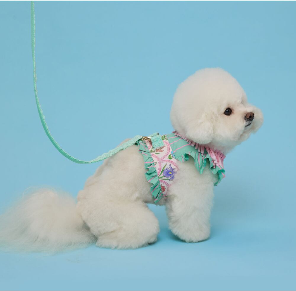 即納 For Garden Leash