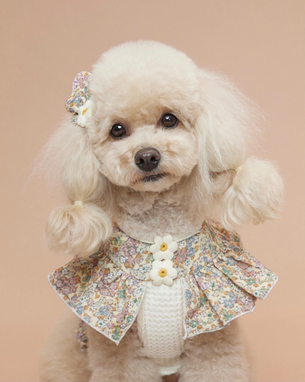 即納 Waffle Daisy Top ベージュ