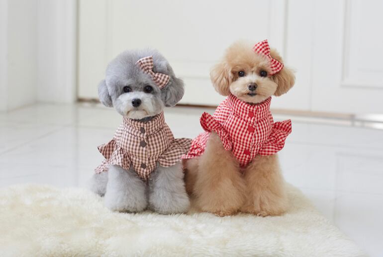 即納 Gingham check dawn dress ココナッツピンク
