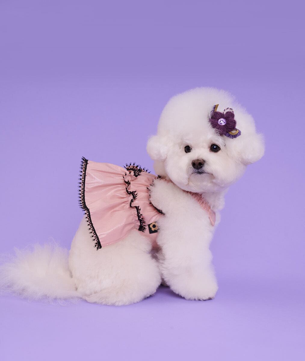 即納 Coco Ruru