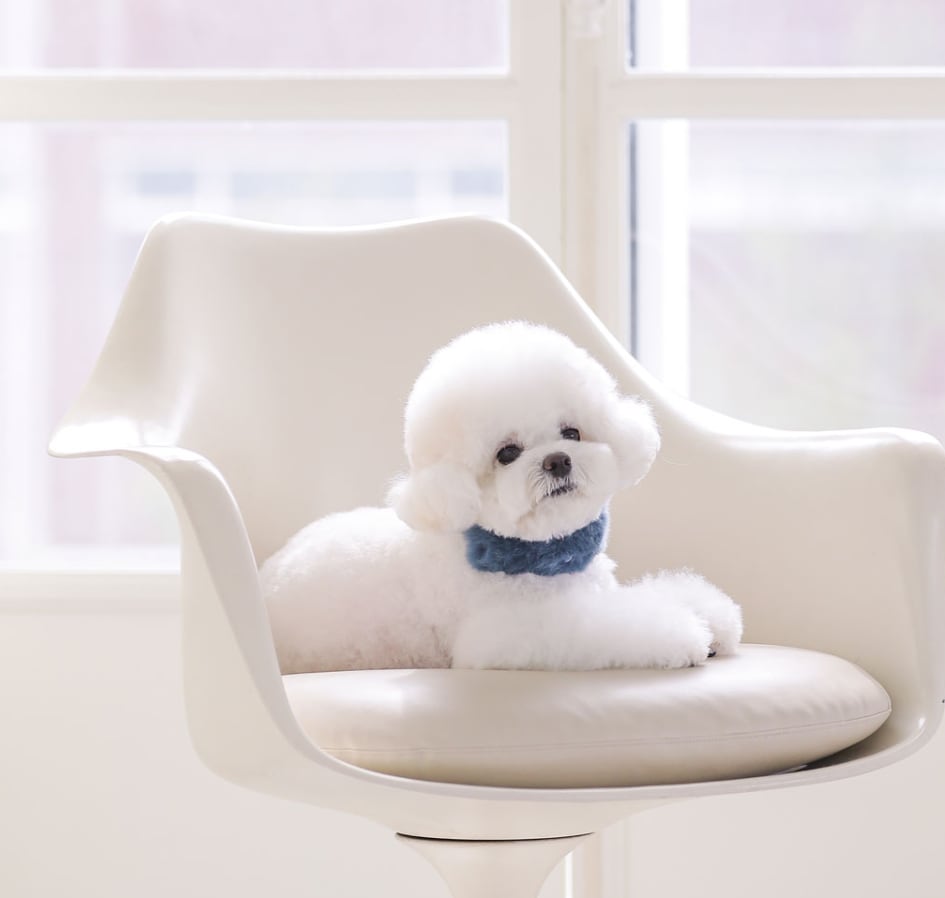 即納 Eco Fur Pompom x Swarovski 全2色