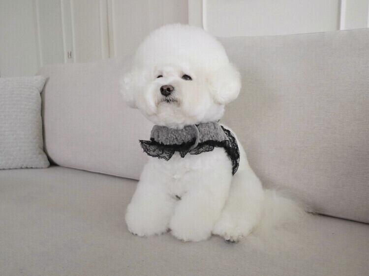 即納 Mink Fur Harness グレー
