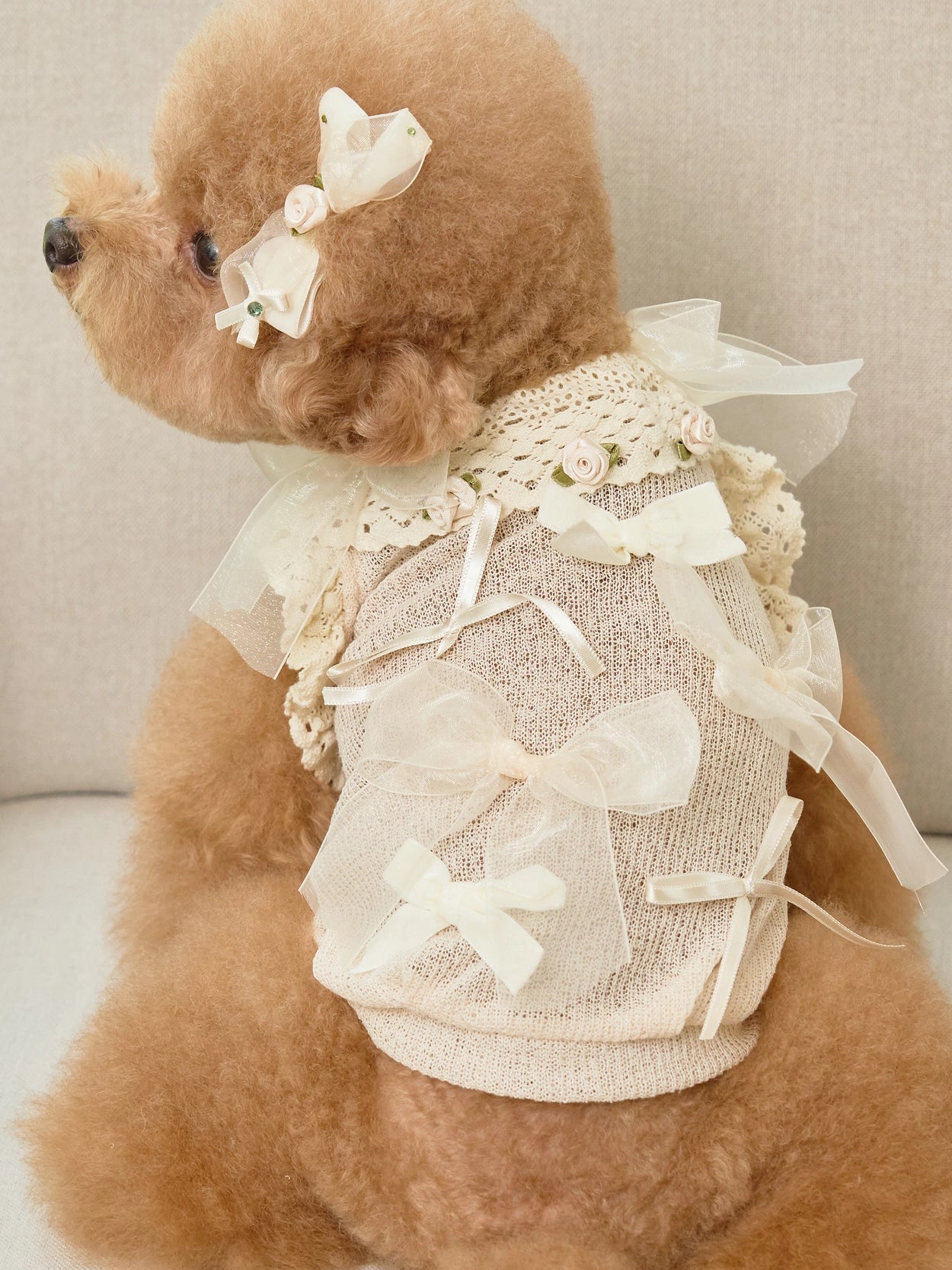 Giselle Rose Pin 全3色