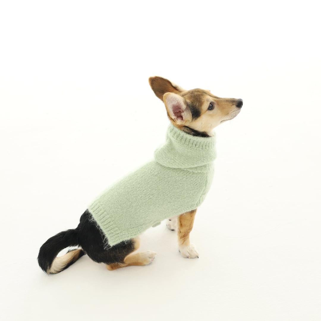 即納 Meoru Hoodie Cape