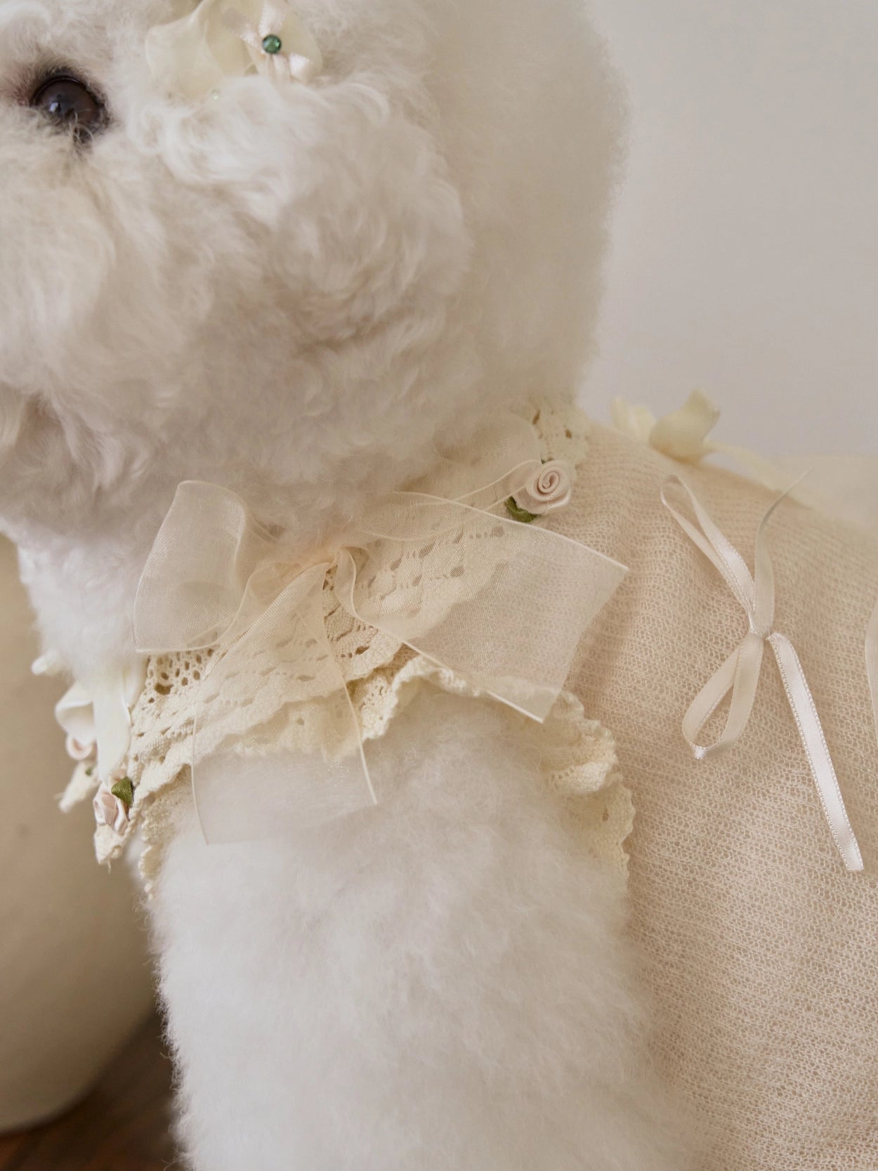 即納 Giselle knit バニラ