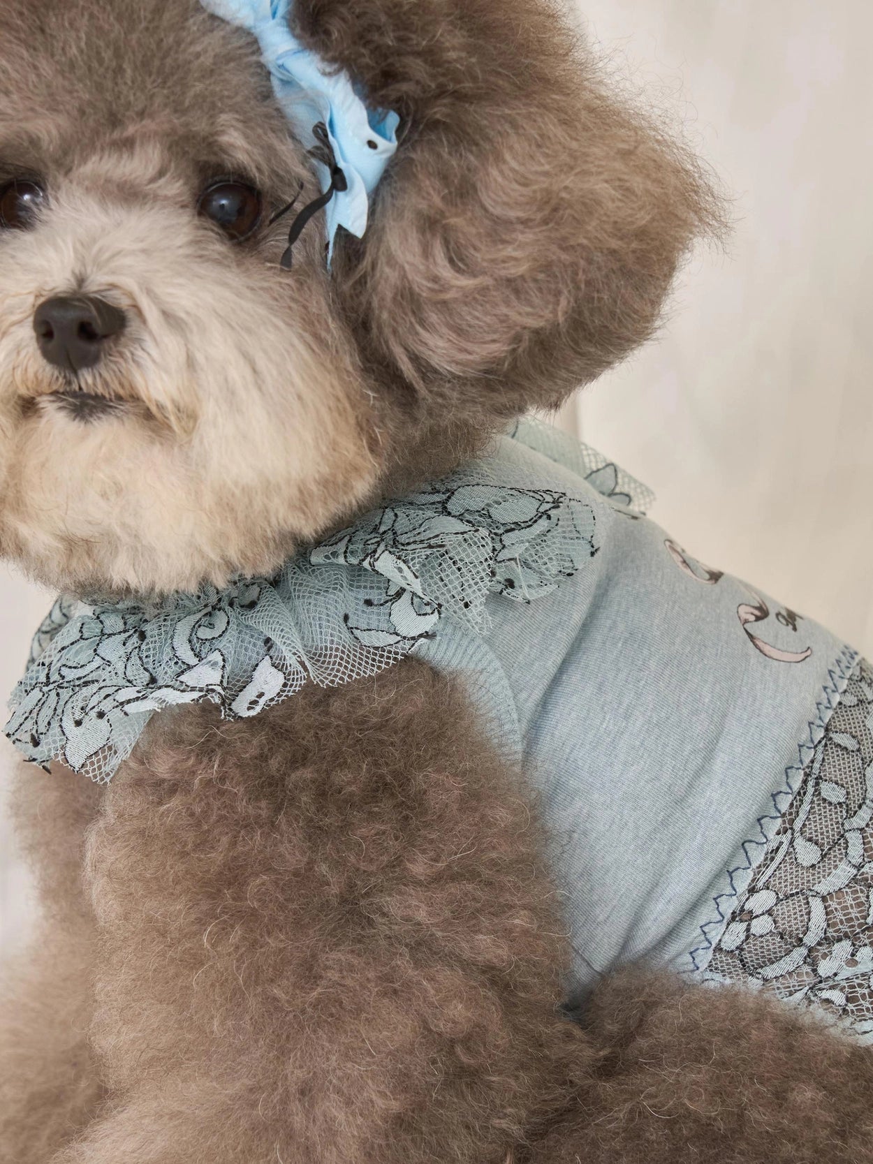 Autumn Breeze T-shirt 全3色