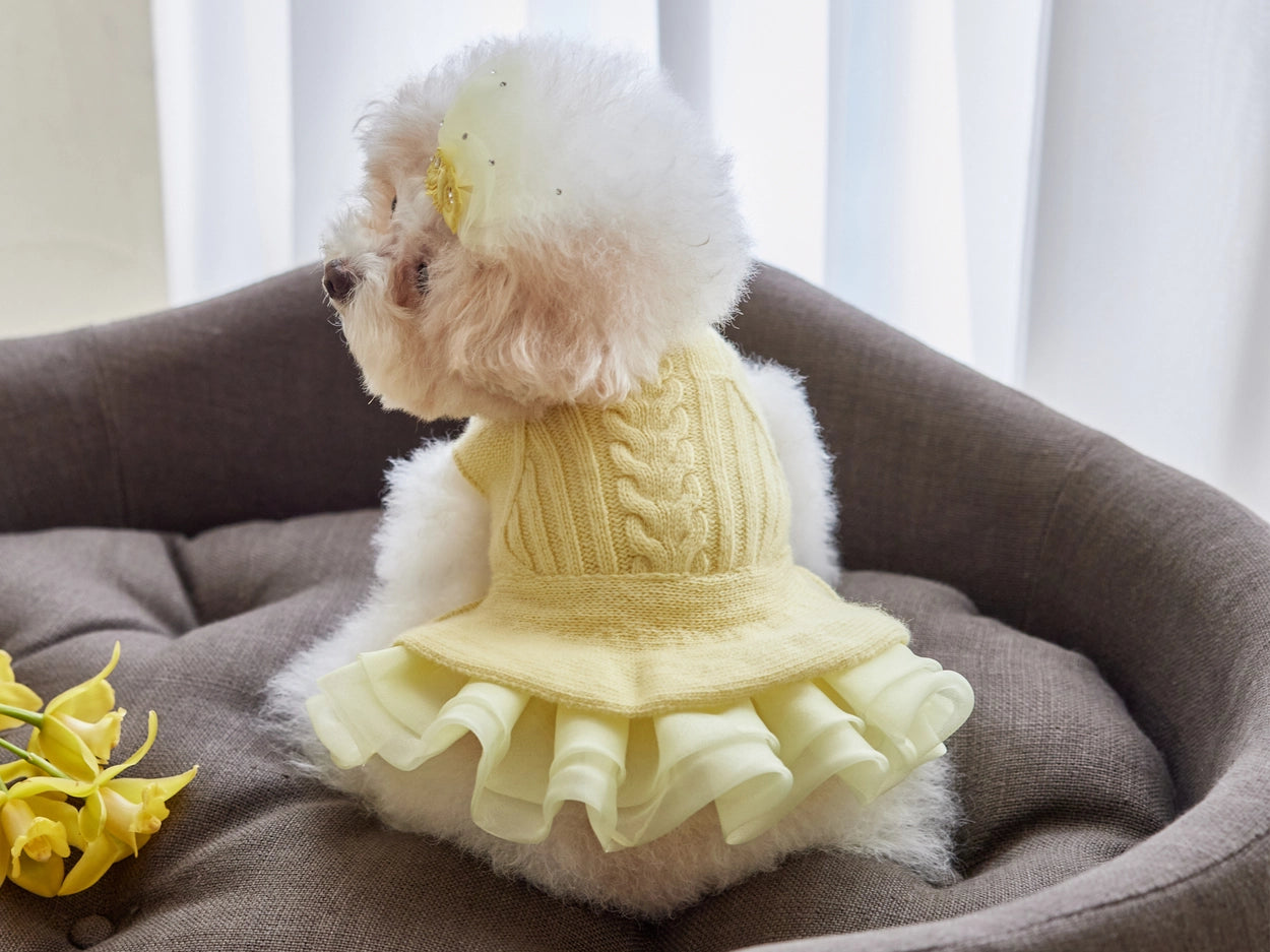 即納 Winterbelle cashmere knit dress イエロー