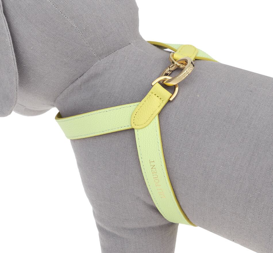 即納 VV Harness 2tone レモン×メロン