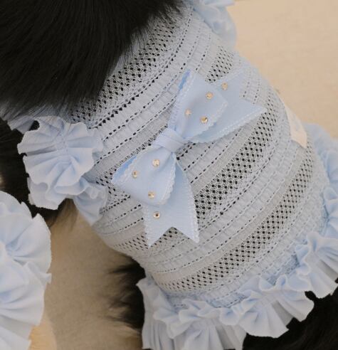 即納 Airish Frill Top ブルー
